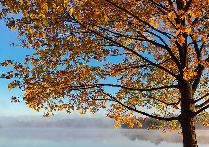 Seasonal skin care, how to transition your skincare from summer to autumn